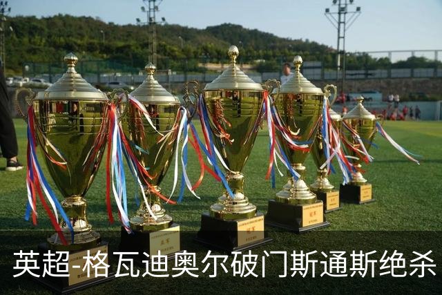 英超-格瓦迪奥尔破门斯通斯绝杀 曼城2-1狼队